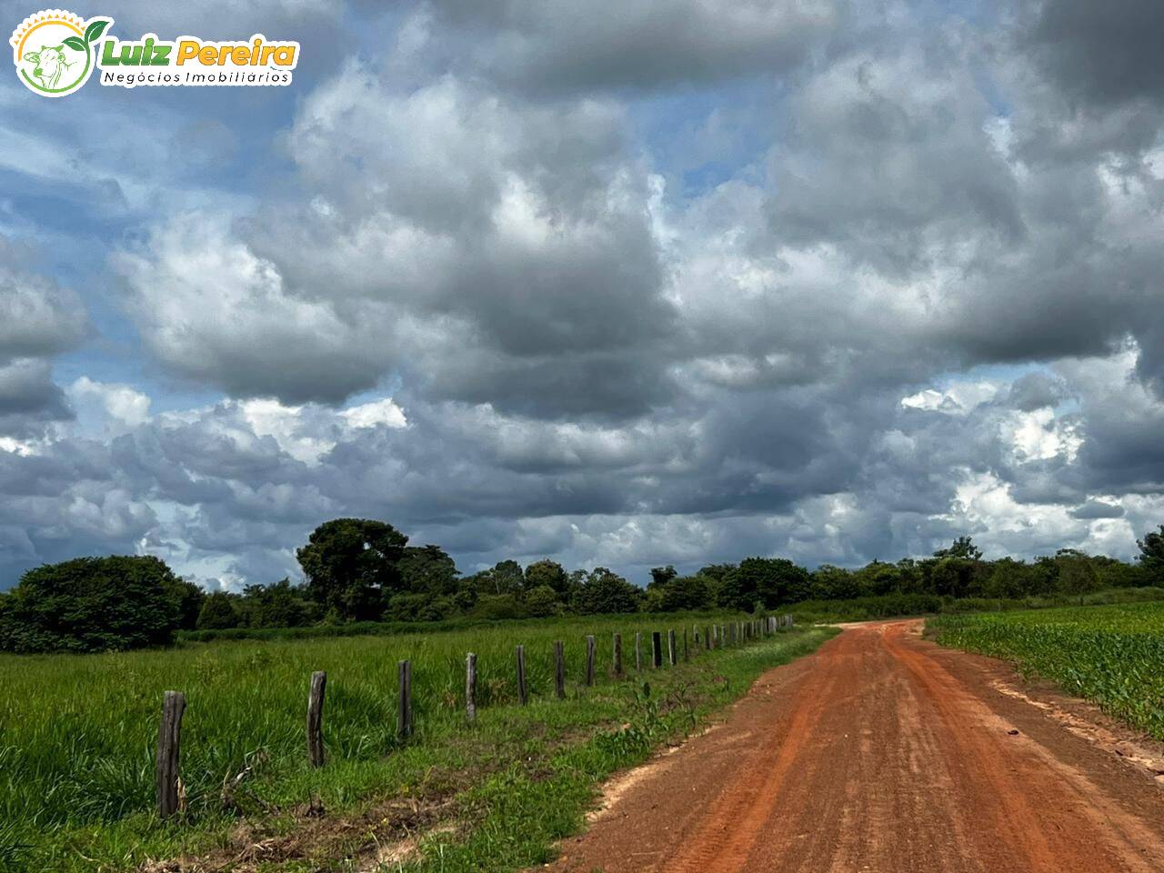 Fazenda à venda, 1654m² - Foto 18