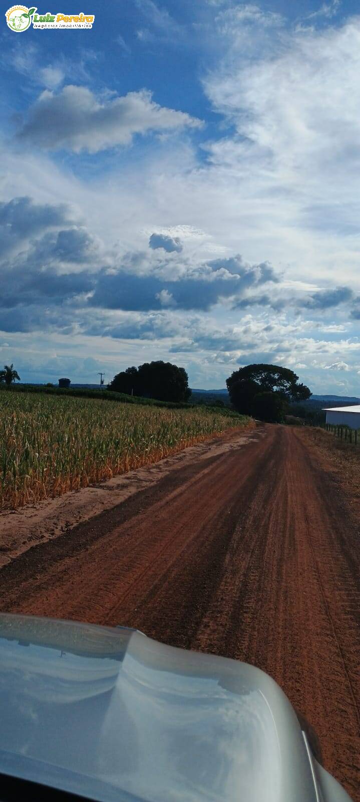 Fazenda à venda, 1654m² - Foto 19