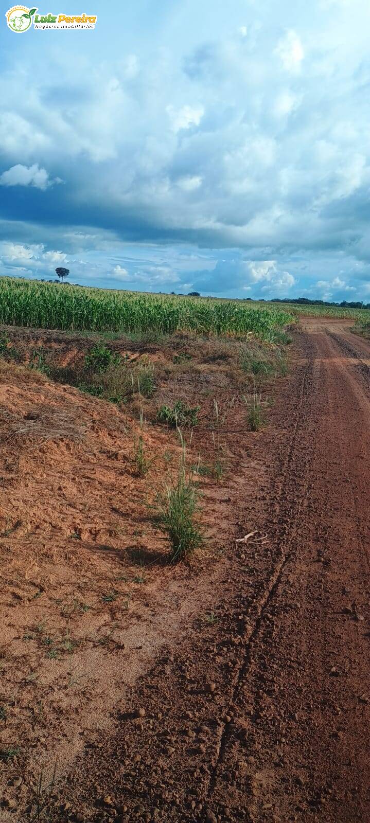 Fazenda à venda, 1654m² - Foto 12