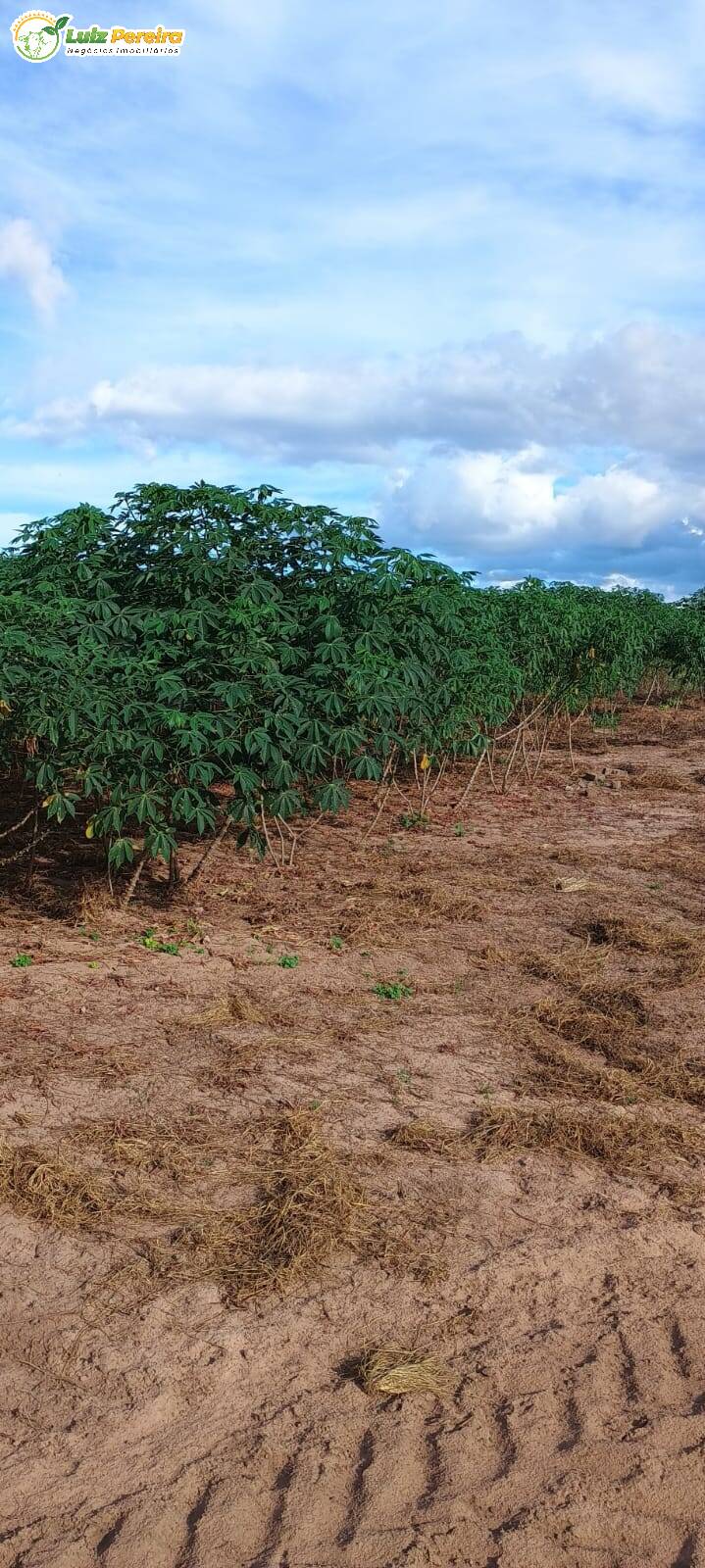 Fazenda à venda, 1654m² - Foto 23