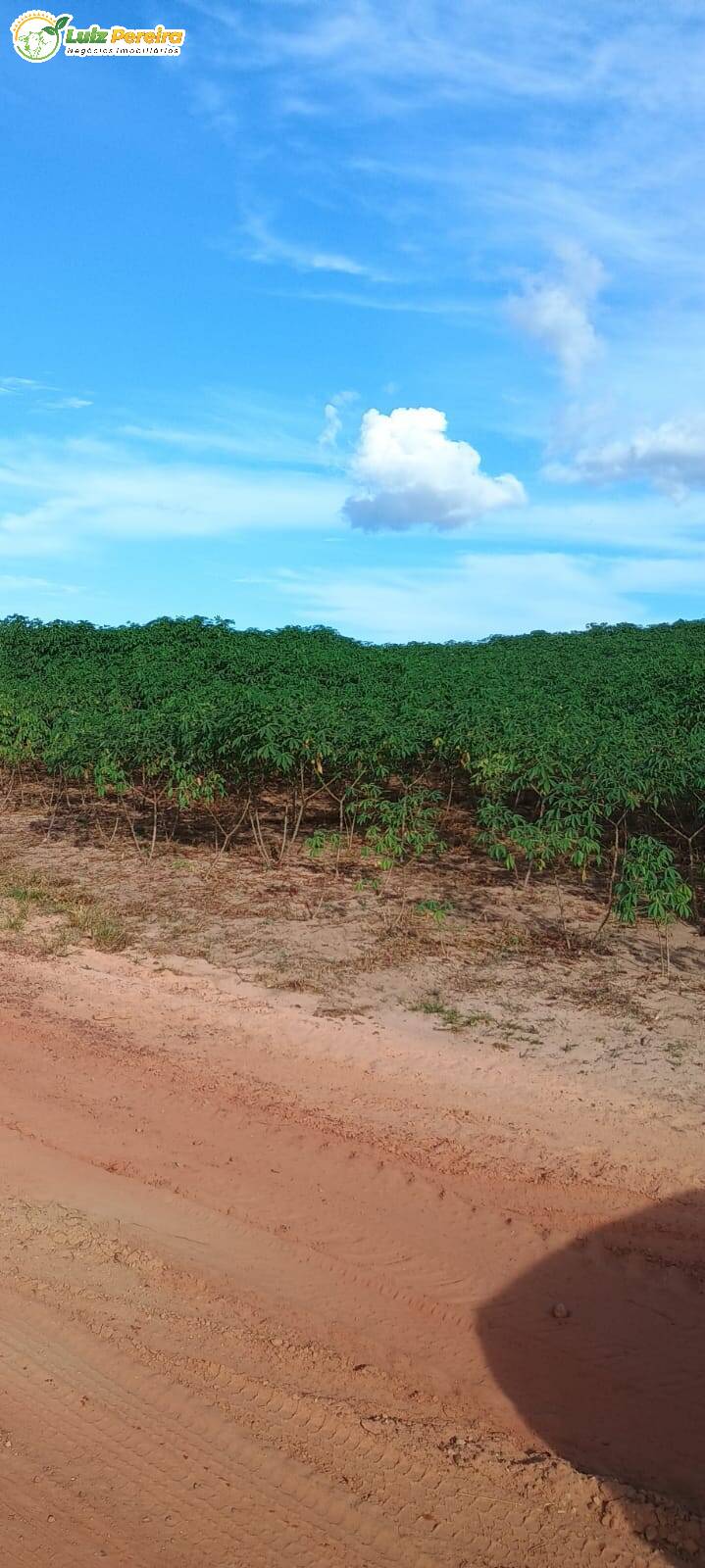 Fazenda à venda, 1654m² - Foto 20