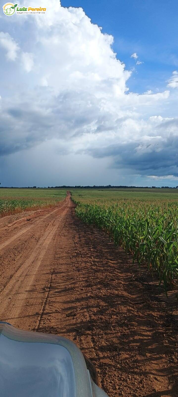 Fazenda à venda, 1654m² - Foto 17