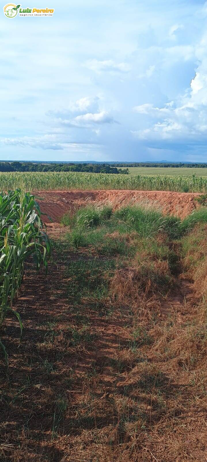 Fazenda à venda, 1654m² - Foto 21