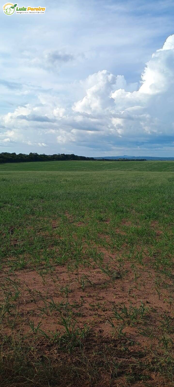 Fazenda à venda, 1654m² - Foto 2