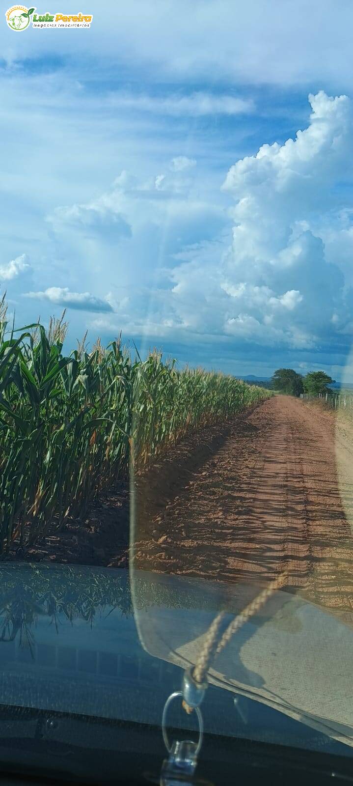 Fazenda à venda, 1654m² - Foto 24