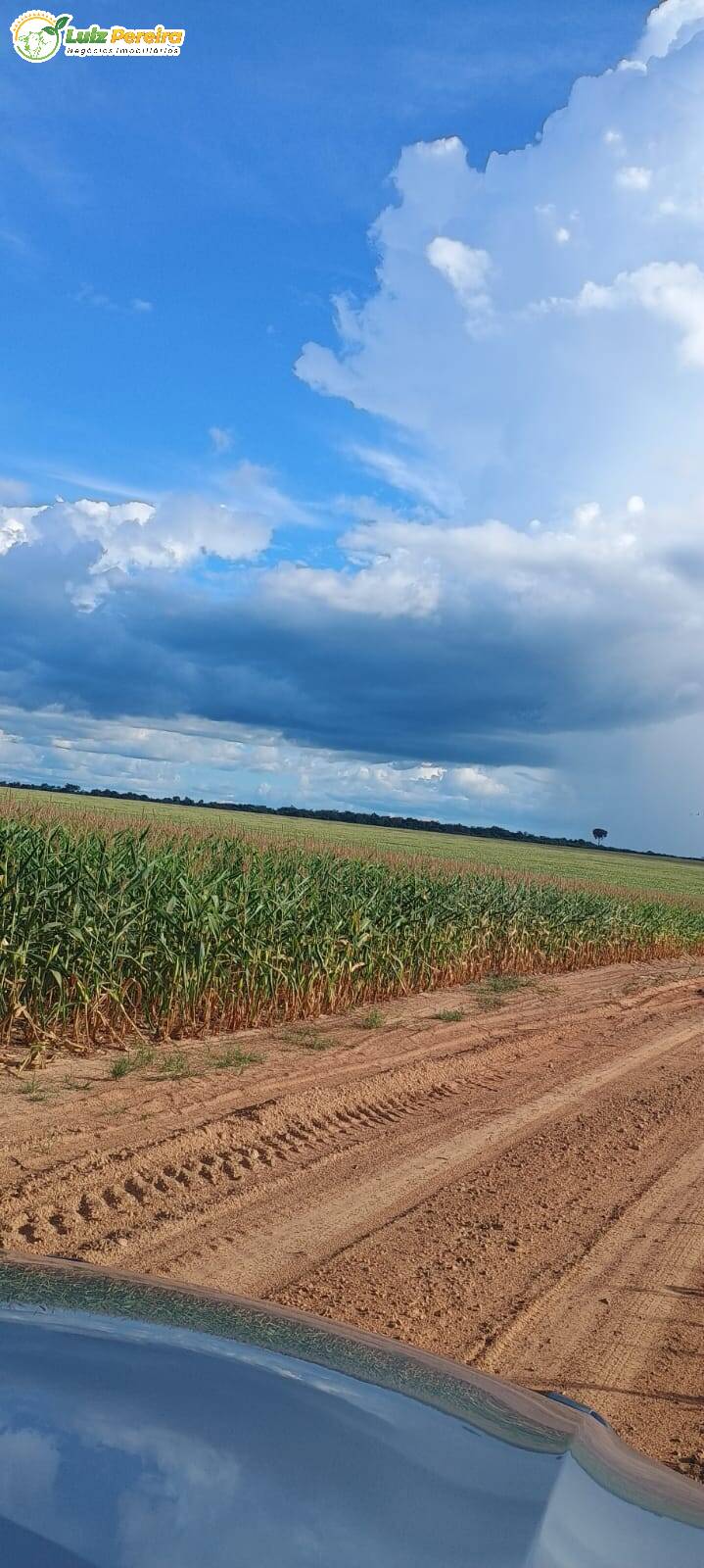 Fazenda à venda, 1654m² - Foto 25