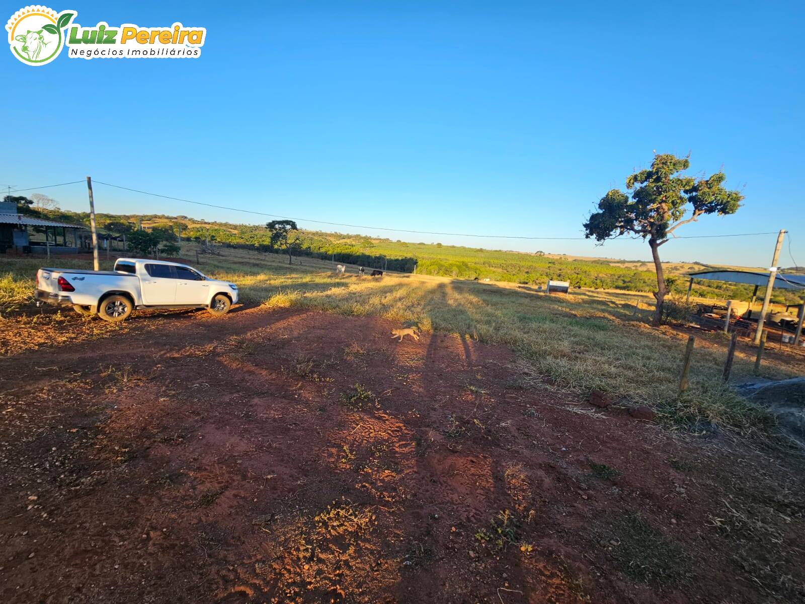 Fazenda à venda, 64m² - Foto 14