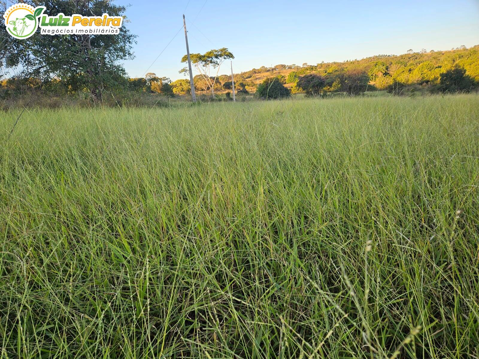 Fazenda à venda, 64m² - Foto 11