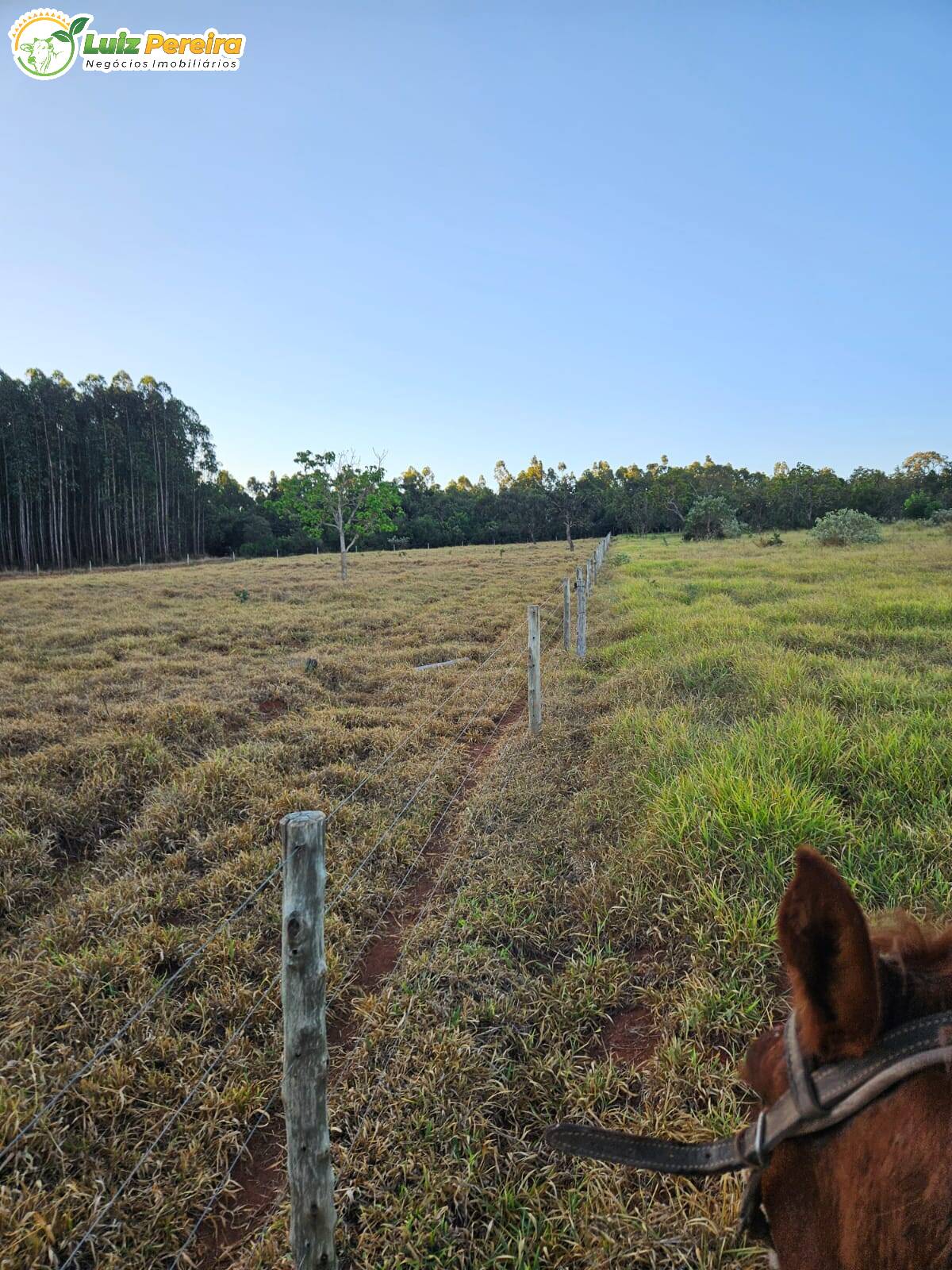 Fazenda à venda, 64m² - Foto 9