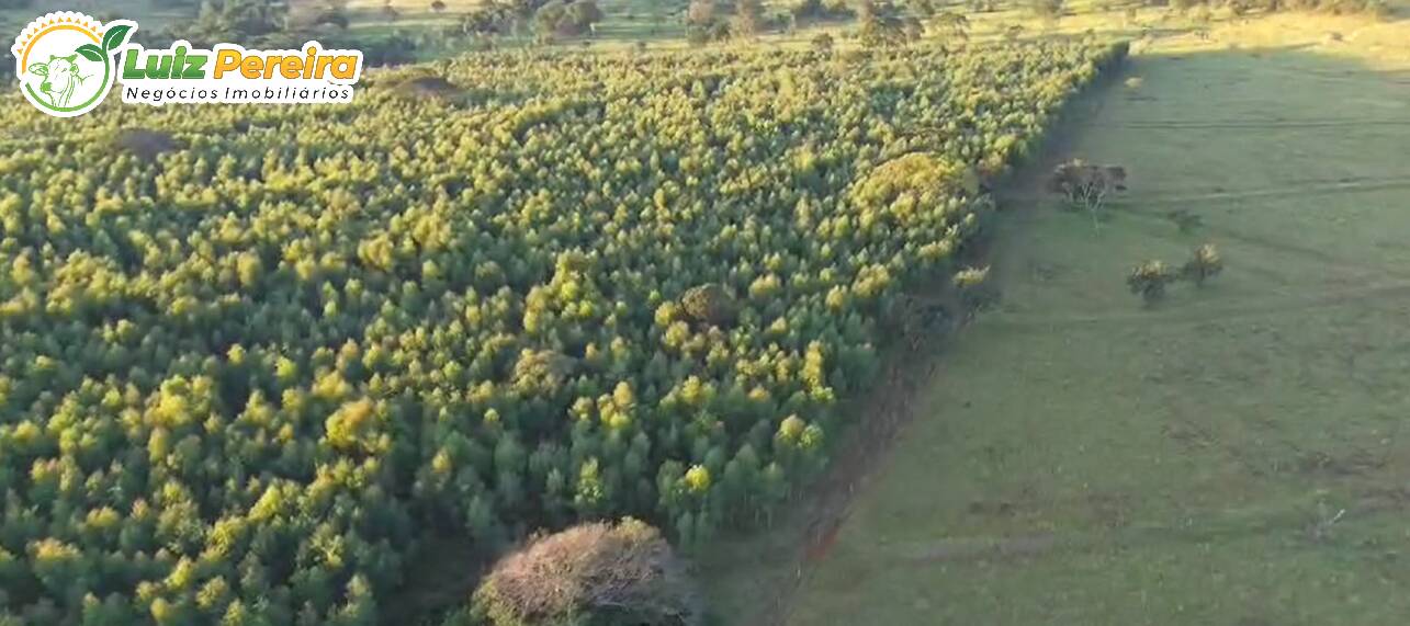 Fazenda à venda, 64m² - Foto 7