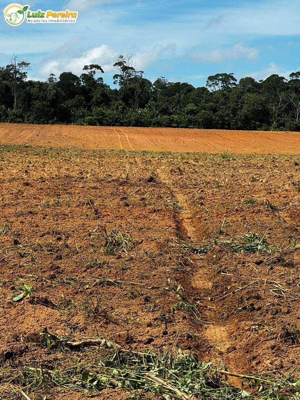 Fazenda à venda, 1936m² - Foto 2