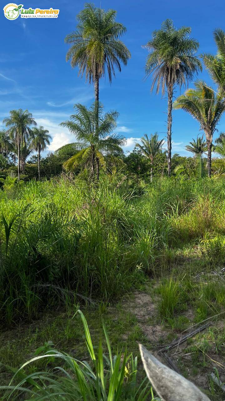 Fazenda à venda, 1500m² - Foto 2