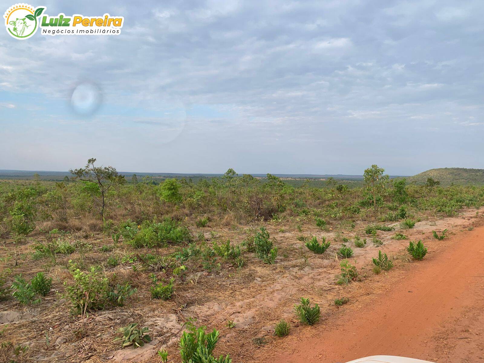 Fazenda à venda, 500m² - Foto 6