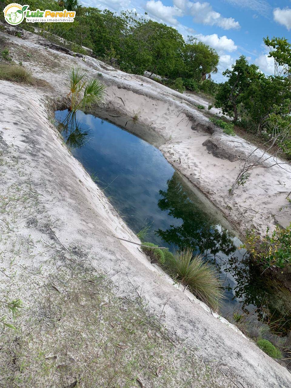 Fazenda à venda, 500m² - Foto 11