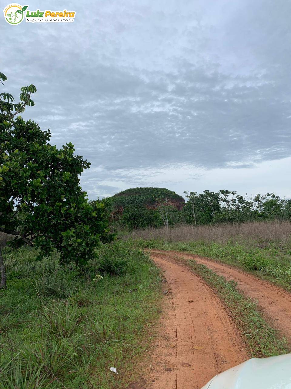 Fazenda à venda, 500m² - Foto 8