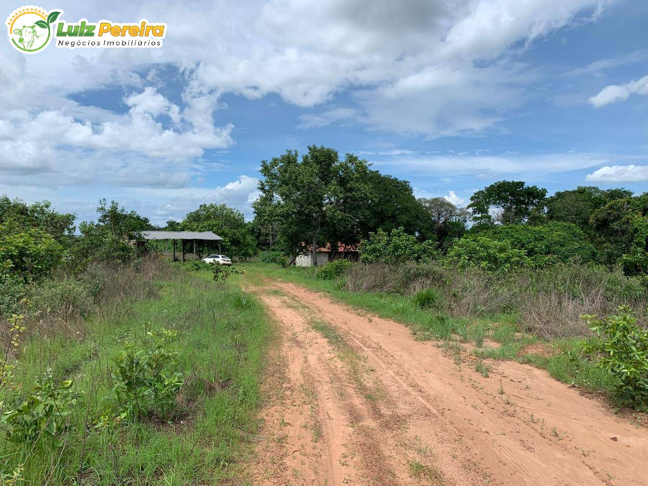 Fazenda à venda, 500m² - Foto 7