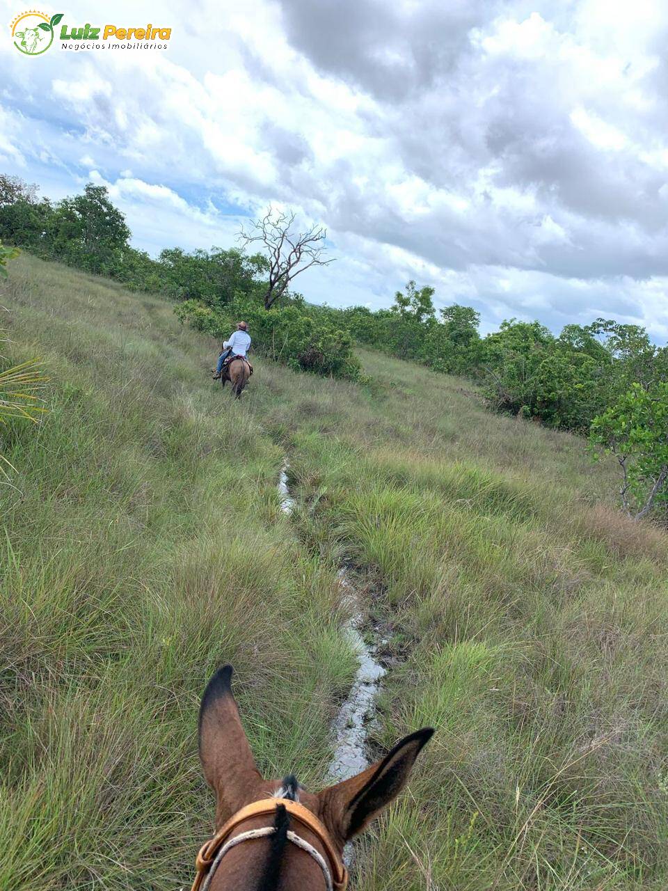 Fazenda à venda, 500m² - Foto 1