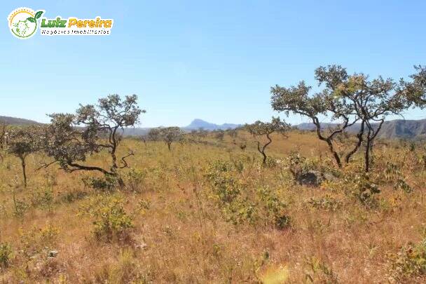 Fazenda à venda, 1160m² - Foto 3