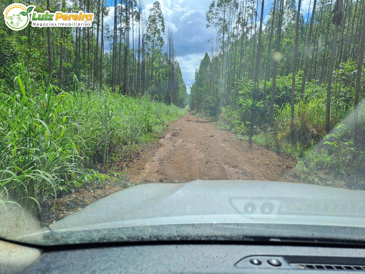 Fazenda à venda, 14446m² - Foto 4