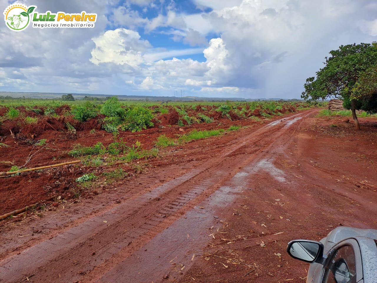 Fazenda à venda, 14446m² - Foto 8