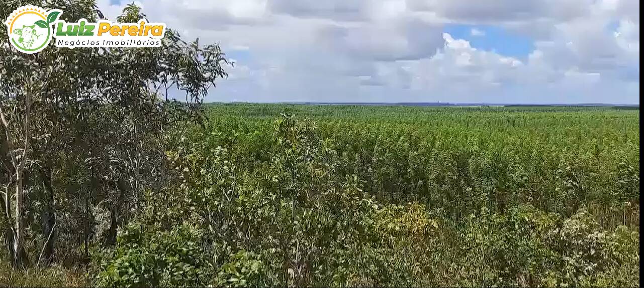 Fazenda à venda, 14446m² - Foto 1