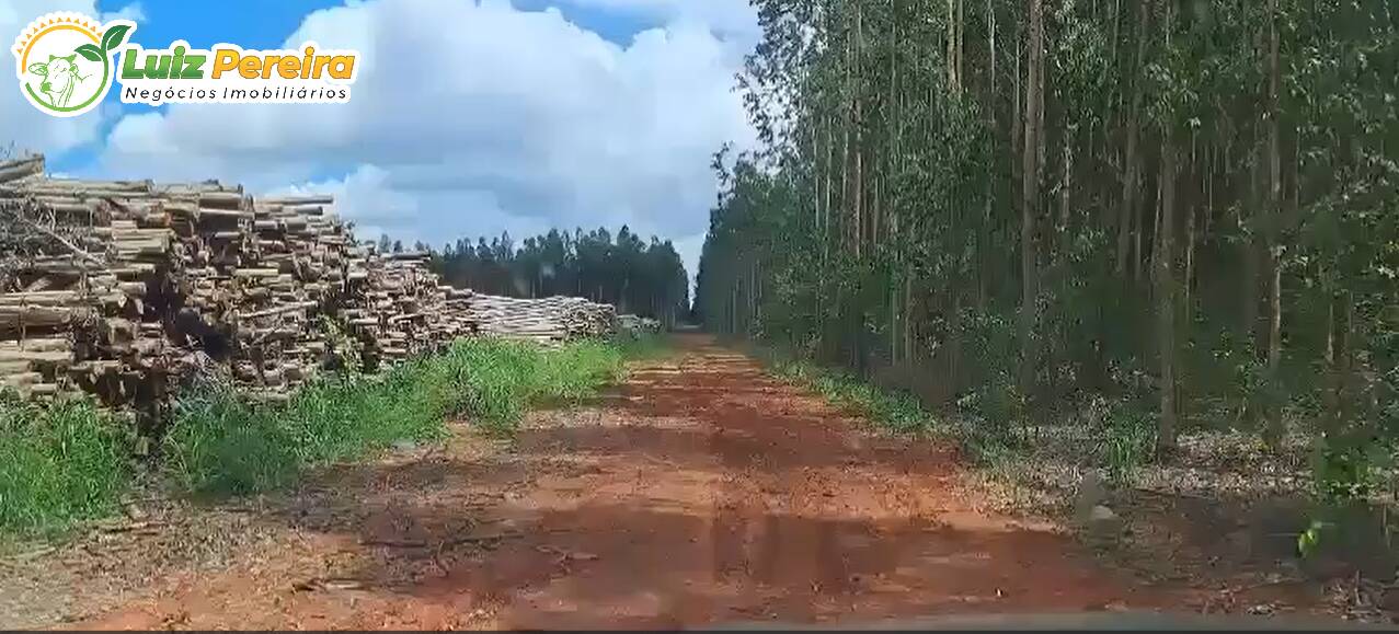 Fazenda-Sítio-Chácara, 1 hectares - Foto 3