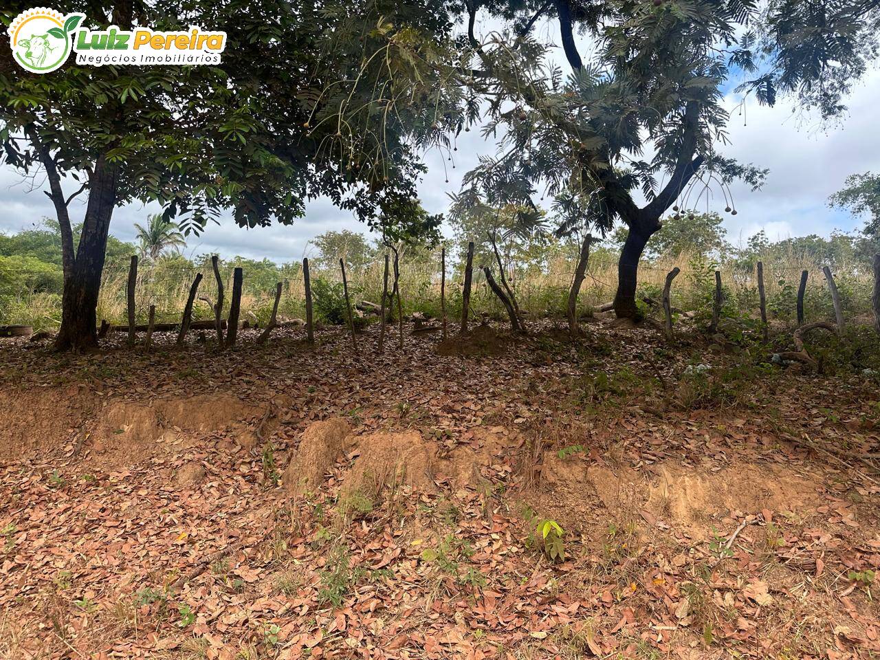 Fazenda à venda, 700m² - Foto 1