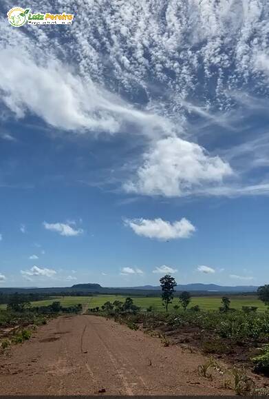 Fazenda à venda, 1311m² - Foto 10