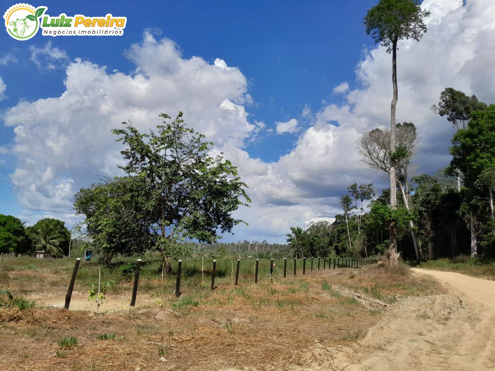 Terreno à venda, 1006m² - Foto 3