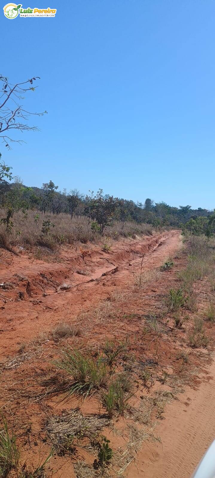 Terreno à venda, 2003m² - Foto 4