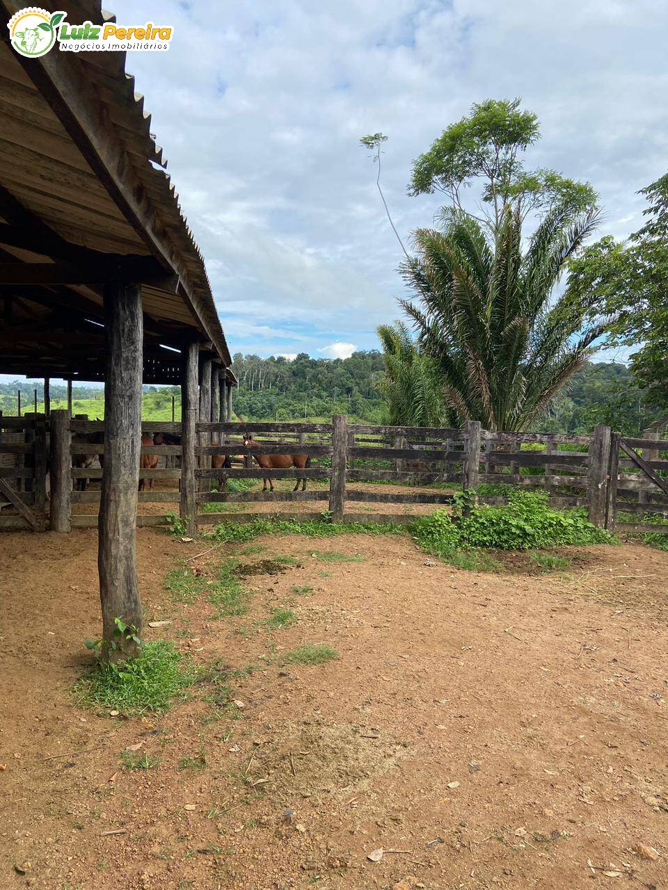 Terreno à venda, 2323m² - Foto 10