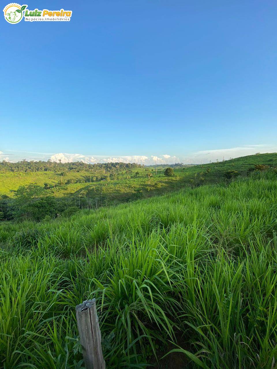 Terreno à venda, 2323m² - Foto 5