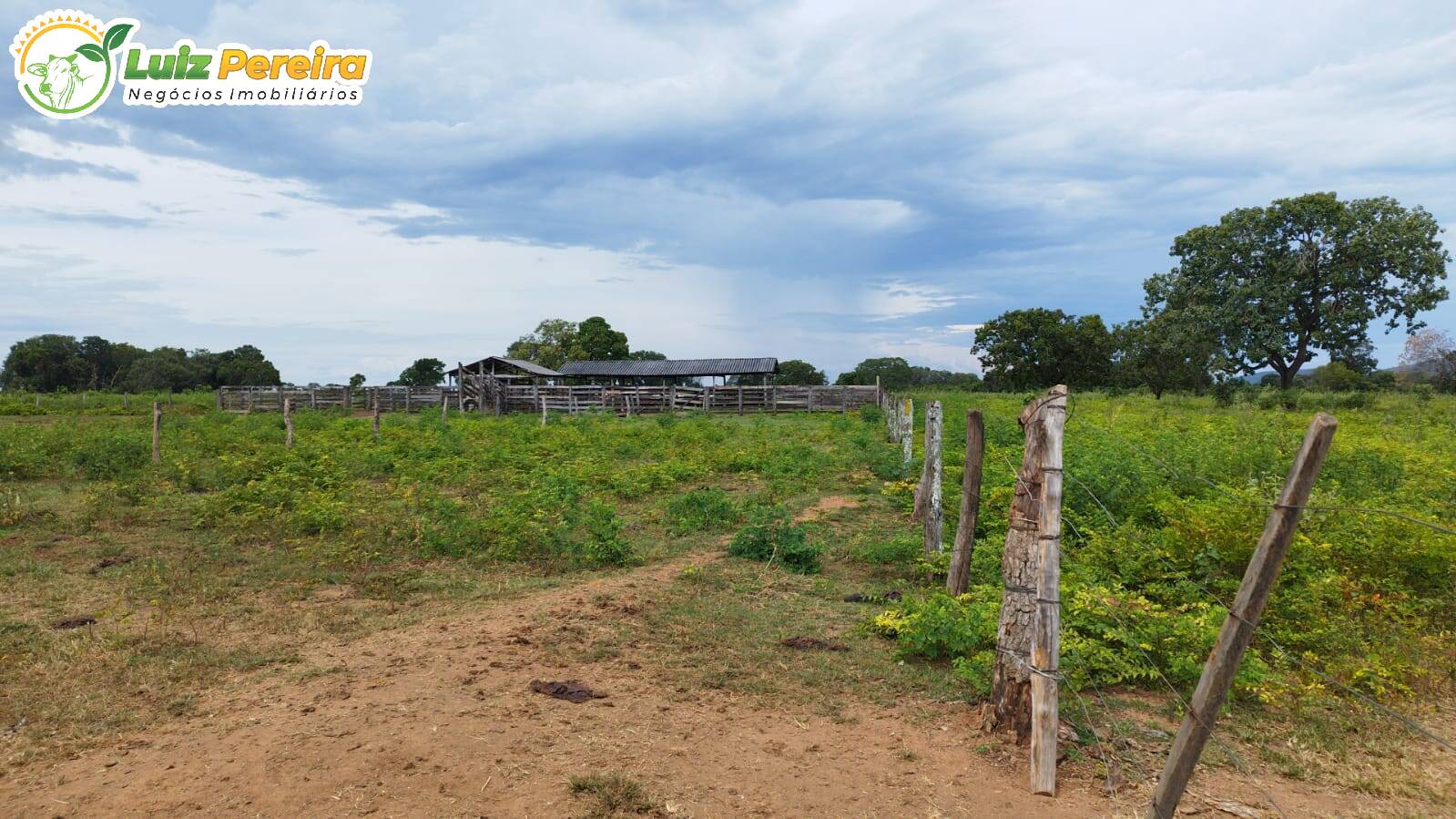 Terreno à venda, 1300m² - Foto 4