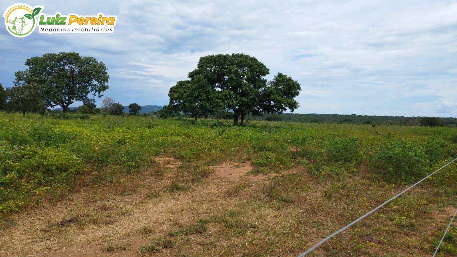 Terreno à venda, 1300m² - Foto 1