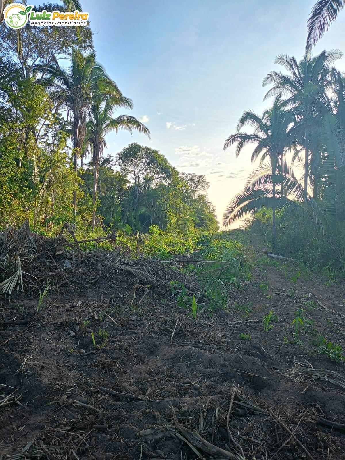 Terreno à venda, 1300m² - Foto 2