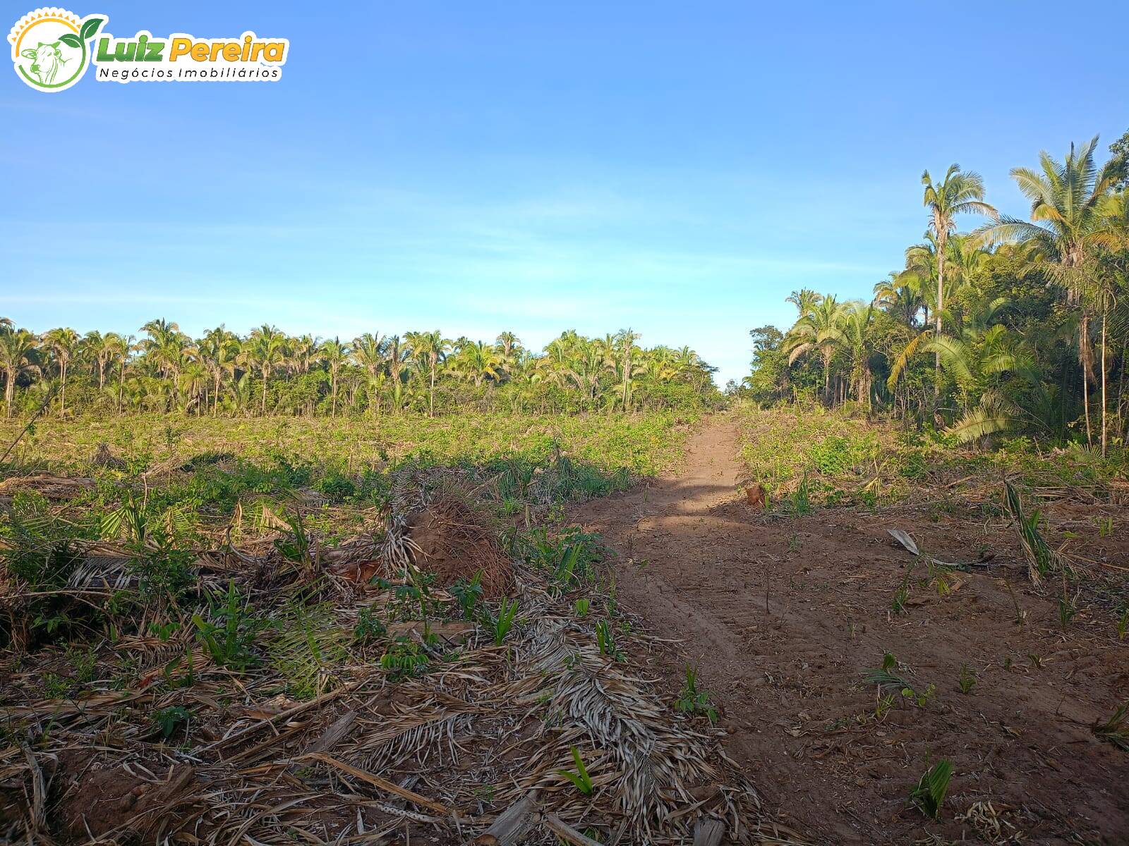 Terreno à venda, 1300m² - Foto 12