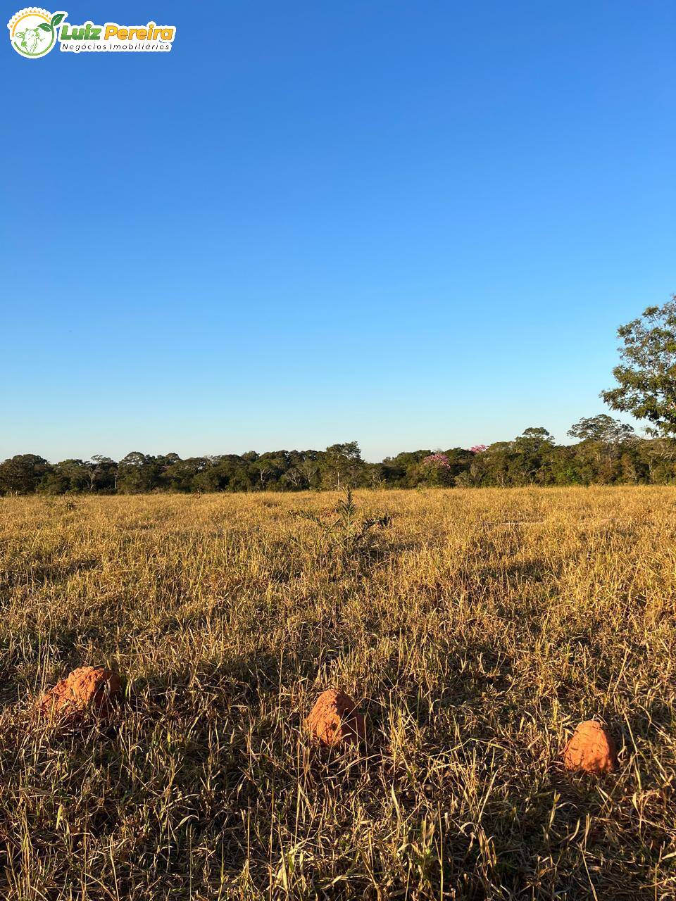 Terreno à venda, 1600m² - Foto 16