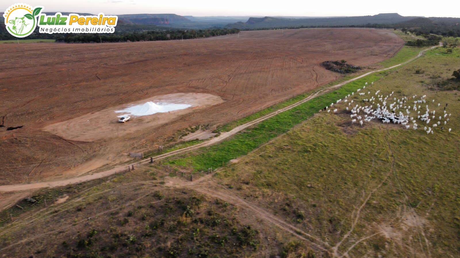 Terreno à venda, 1600m² - Foto 8