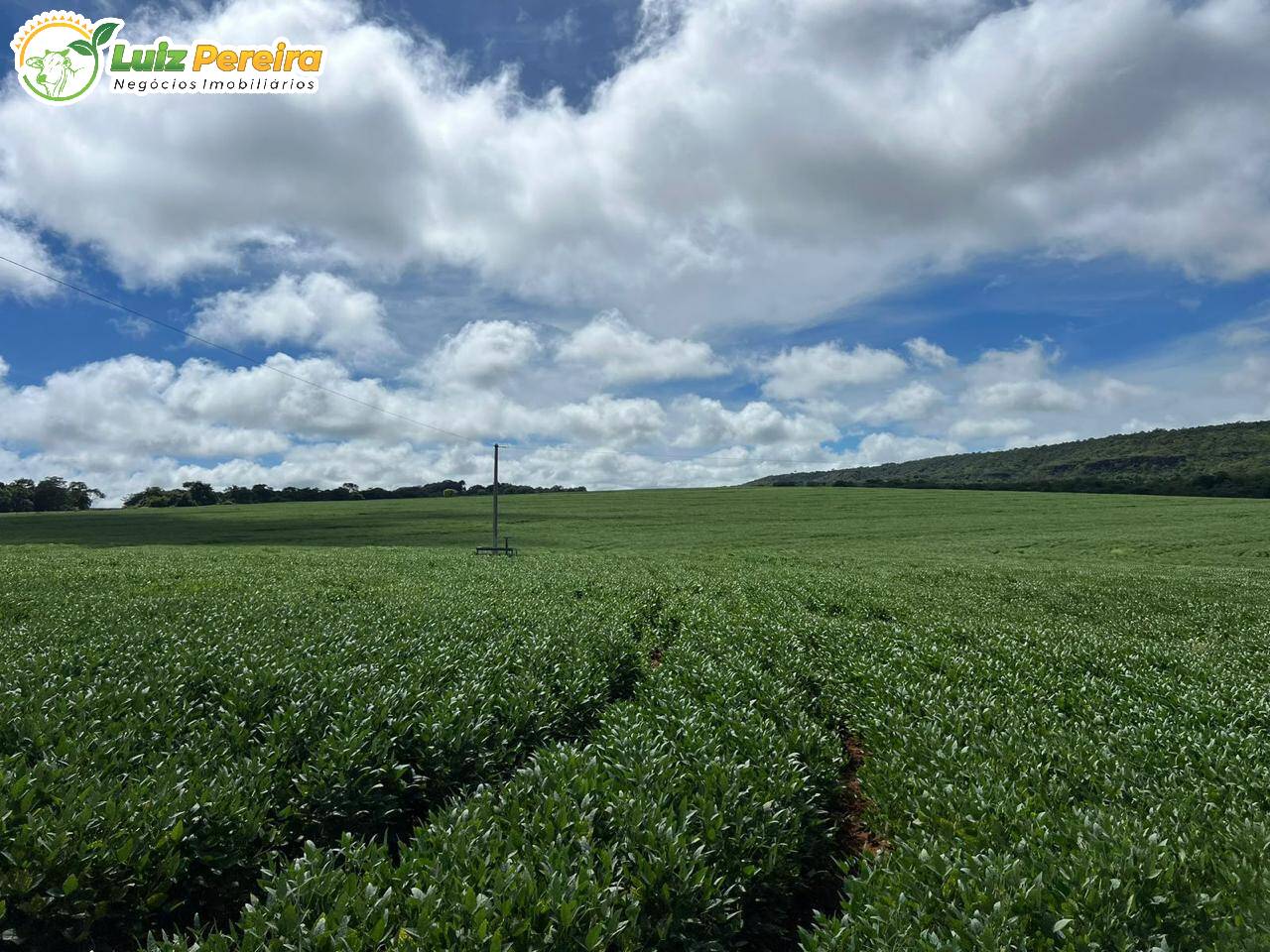 Terreno à venda, 1600m² - Foto 6