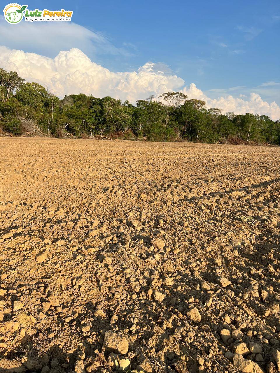 Terreno à venda, 1600m² - Foto 14