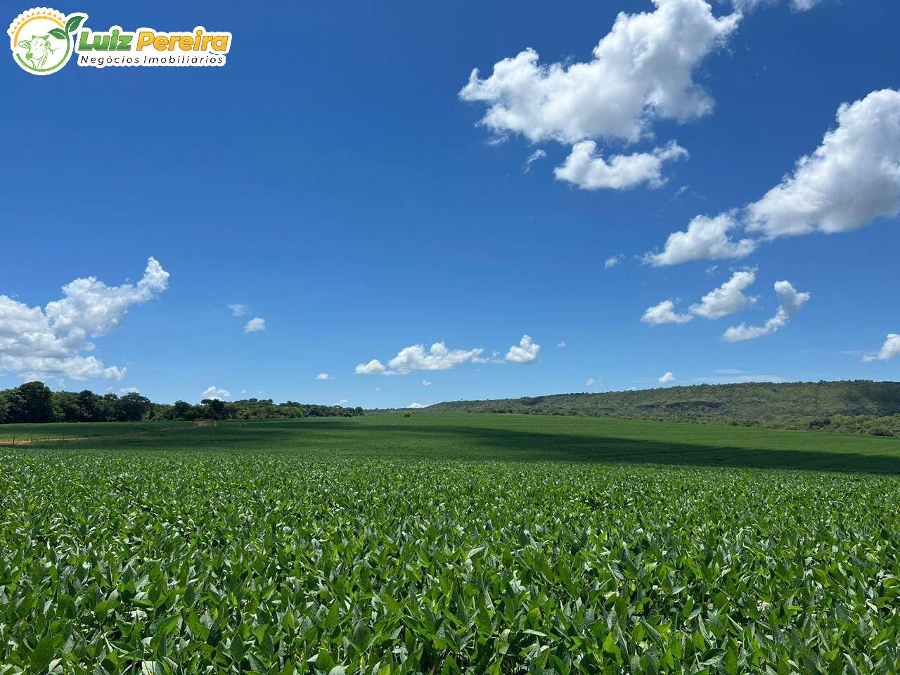 Terreno à venda, 1600m² - Foto 4