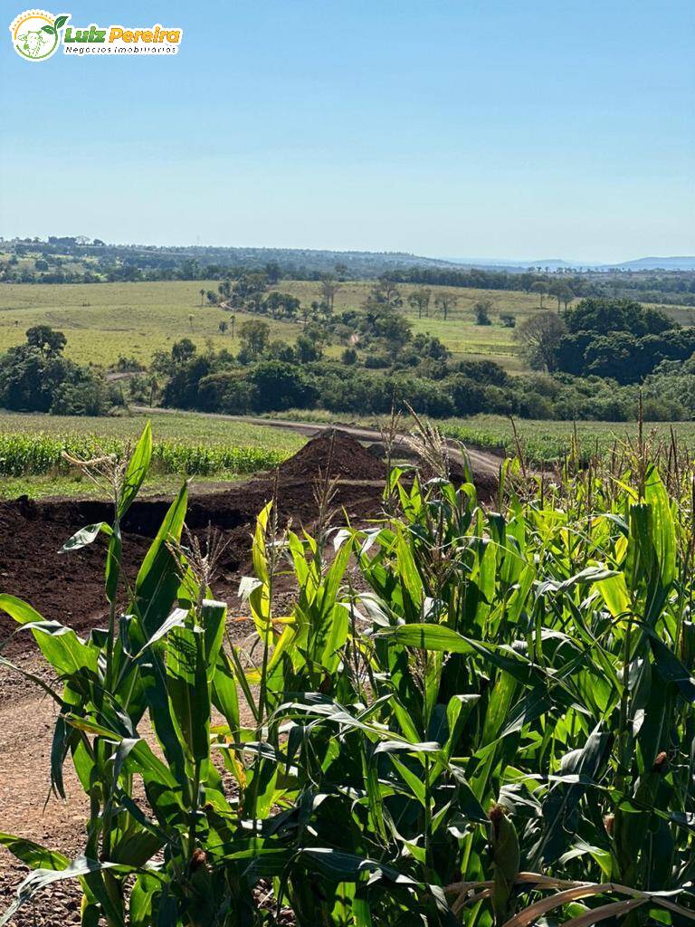 Terreno à venda, 1250m² - Foto 2