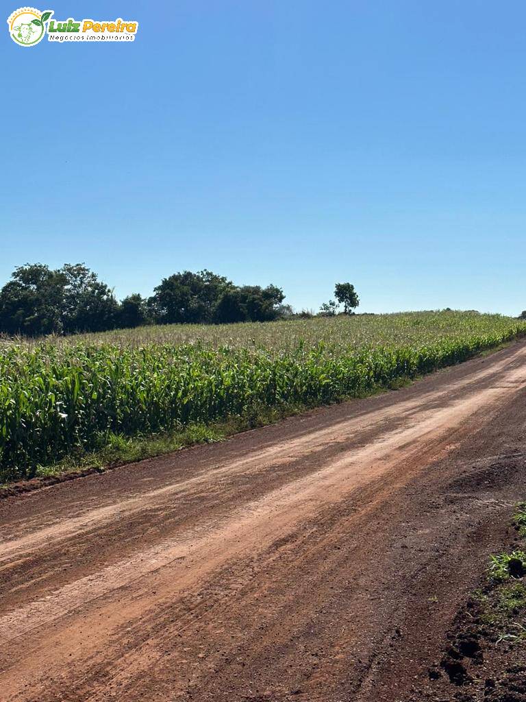 Terreno à venda, 1250m² - Foto 12