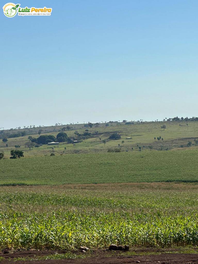 Terreno à venda, 1250m² - Foto 5