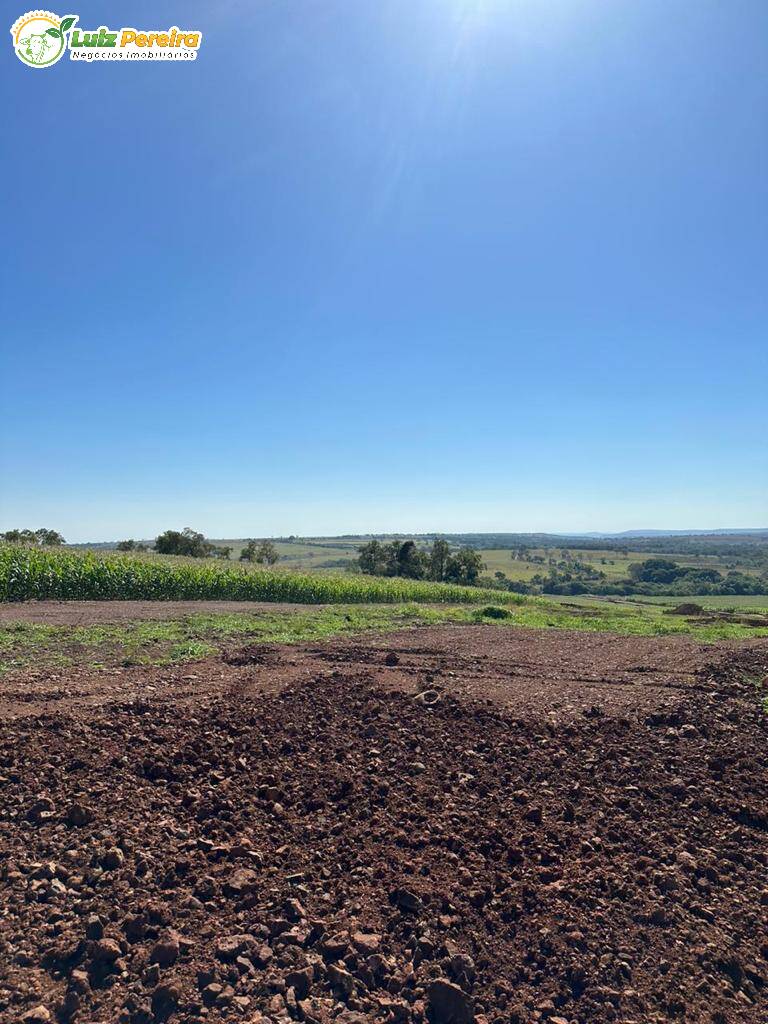 Terreno à venda, 1250m² - Foto 1