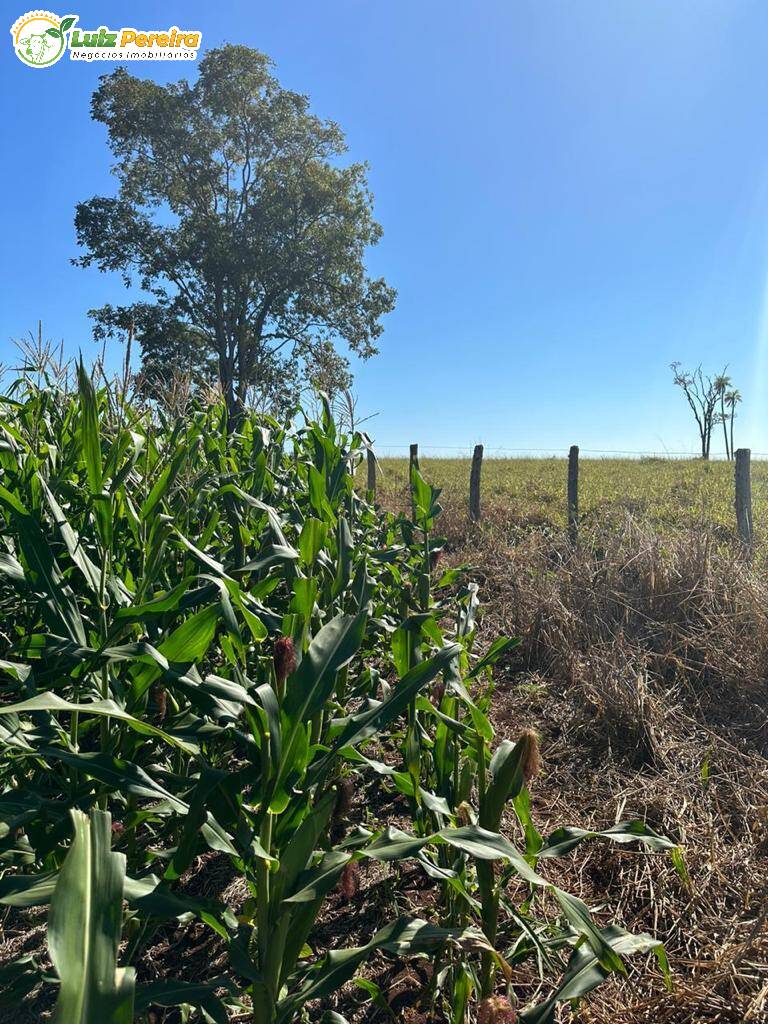 Terreno à venda, 1250m² - Foto 11