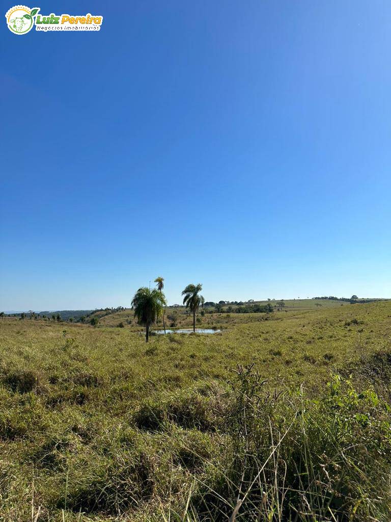 Terreno à venda, 1250m² - Foto 7