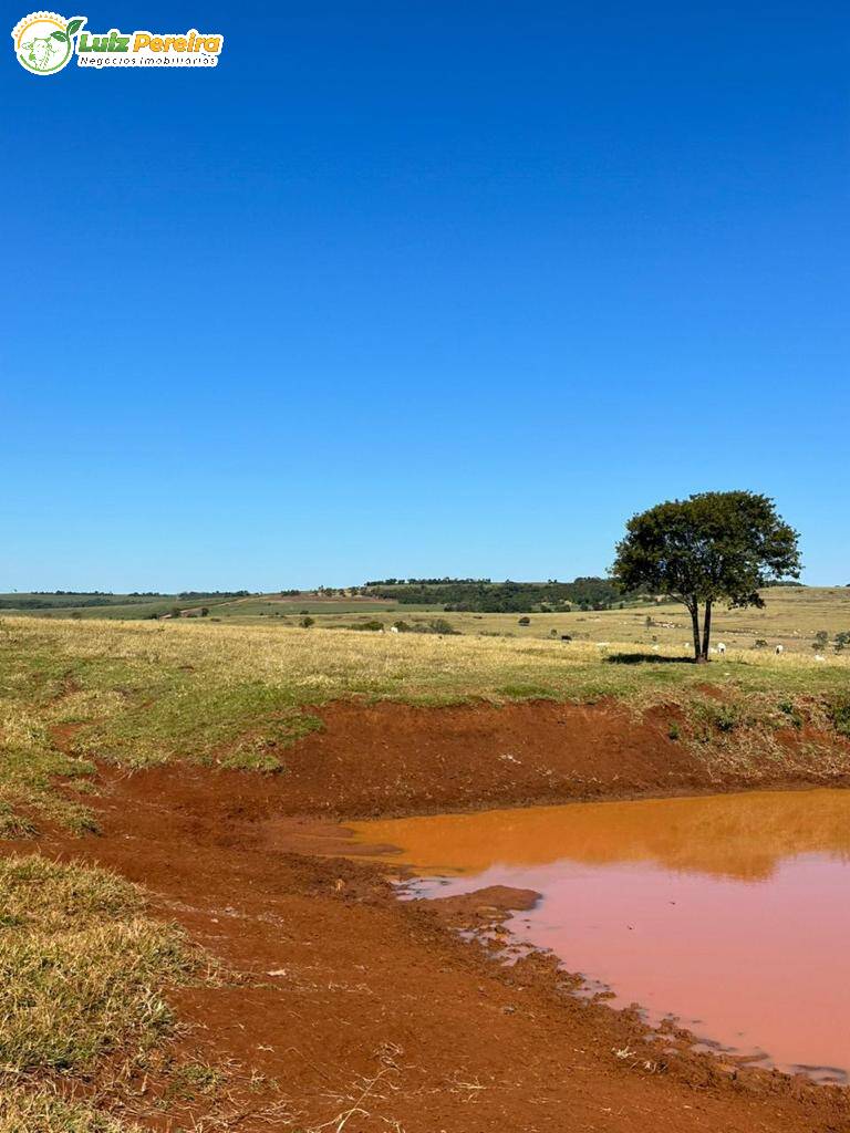 Terreno à venda, 1250m² - Foto 14