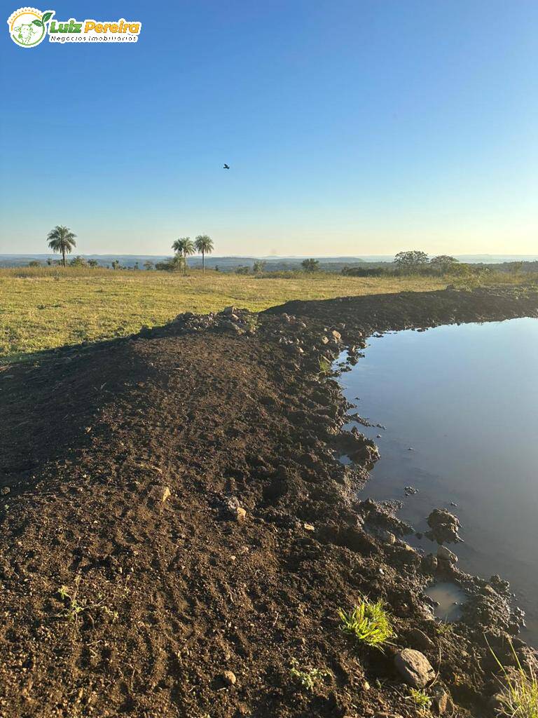 Terreno à venda, 1250m² - Foto 8