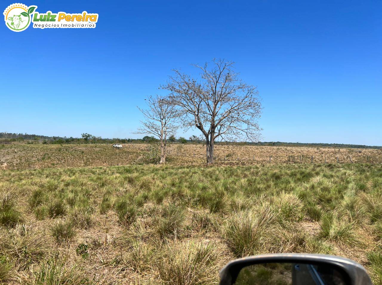 Terreno à venda, 2599m² - Foto 6